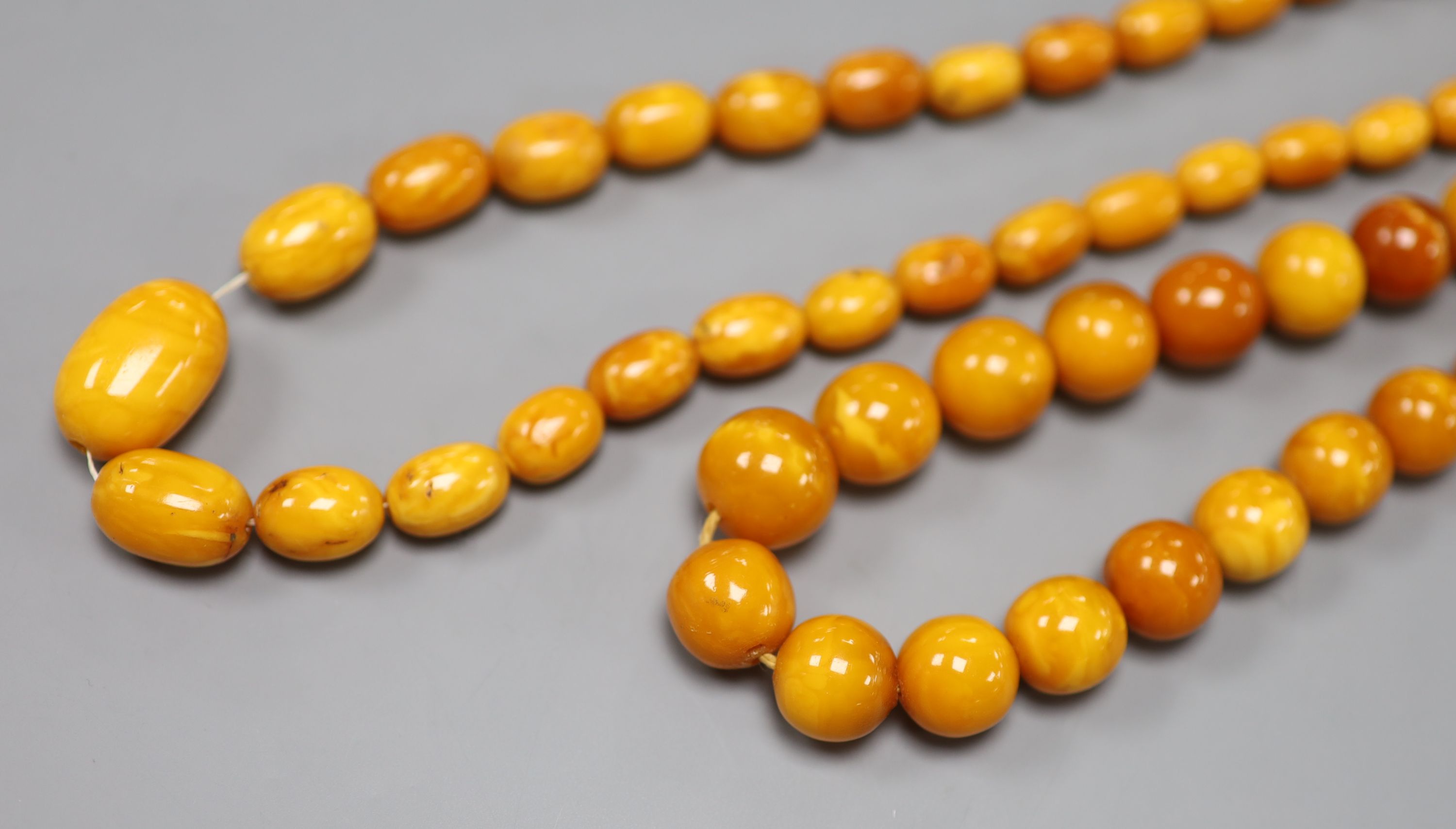 Two single strand amber bead necklaces (one clasp a.f.), longest 78cm, gross weight 68 grams.